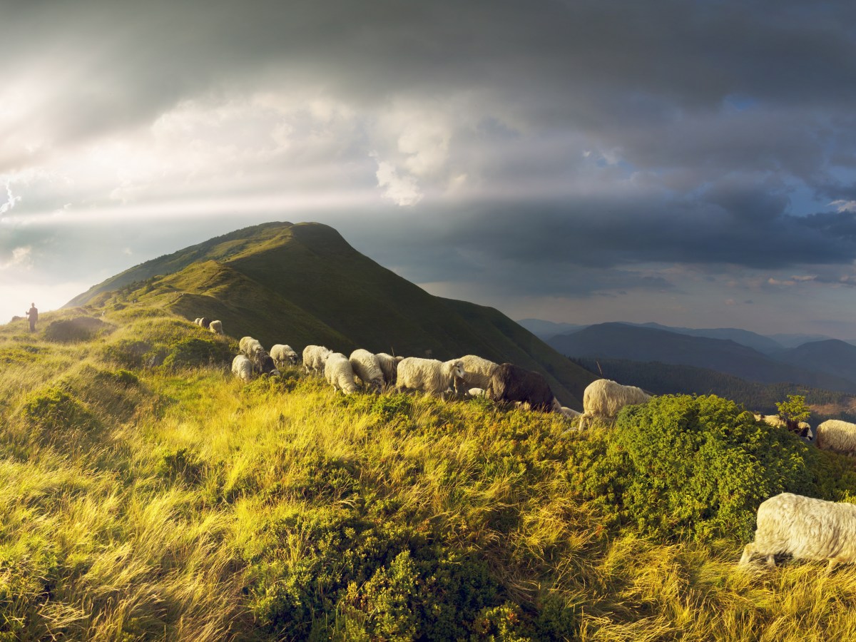 Overcoming Fear,  Uncertainty and the Coronavirus (Part One)