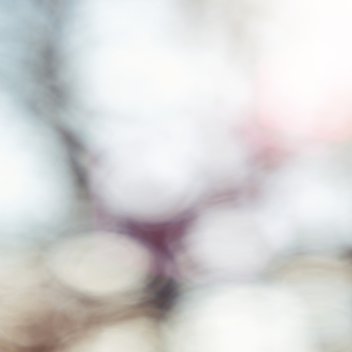 II. In Truth There is Freedom: Justice Follows